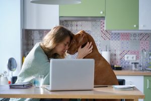 pet custody in divorce