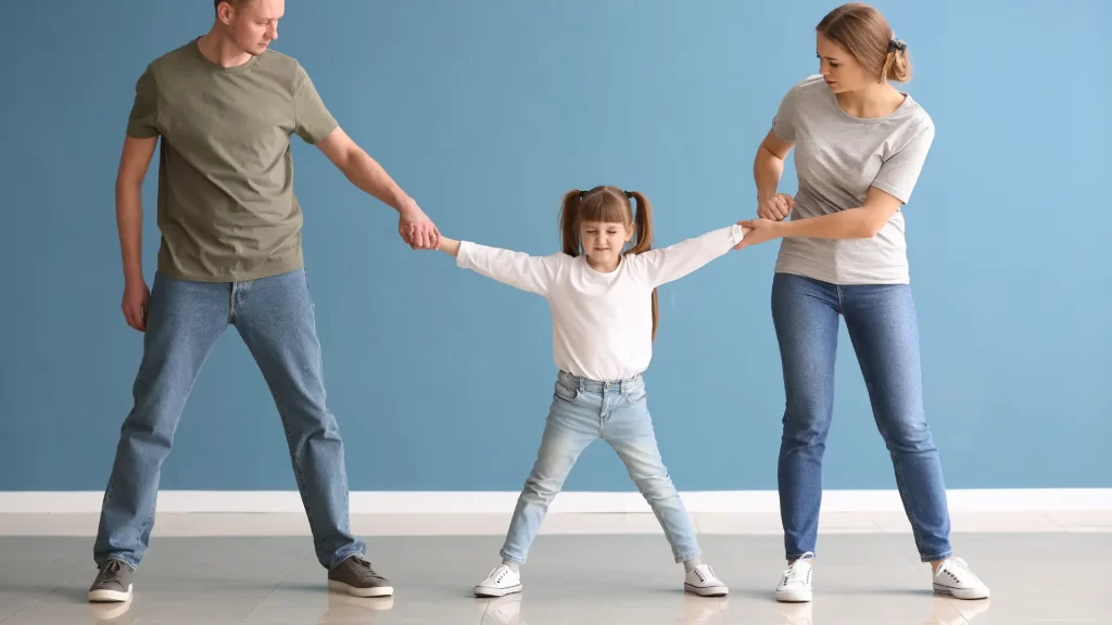 Joint Custody Work Explained